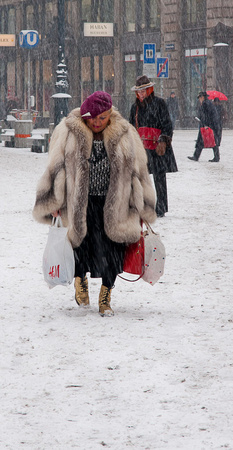 Vienna: Winter brings out the Furs