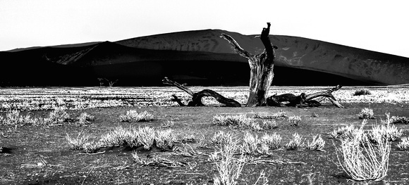 The Wasteland_And the dead tree gives no shelter
